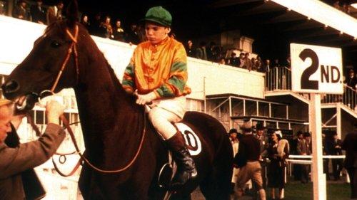 The Rainbow Jacket filmas žiurėti online