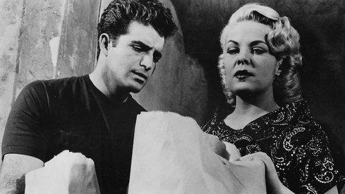 Hit and Run filmas žiurėti online