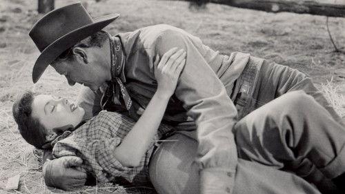 Black Horse Canyon filmas žiurėti online