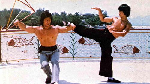 Bruce, King of Kung Fu filmas žiurėti online