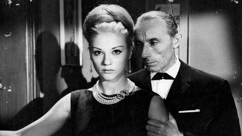 Story of a Lifetime filmas žiurėti online