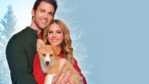 A Very Corgi Christmas filmas žiurėti online