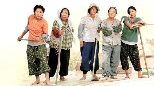 Mapado filmas žiurėti online