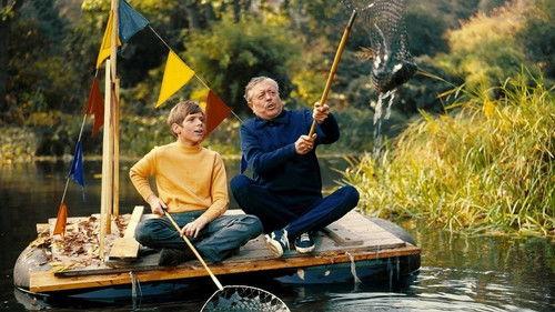 Heintje - Einmal wird die Sonne wieder scheinen filmas žiurėti online