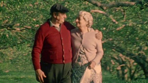 The Last Betrothal filmas žiurėti online