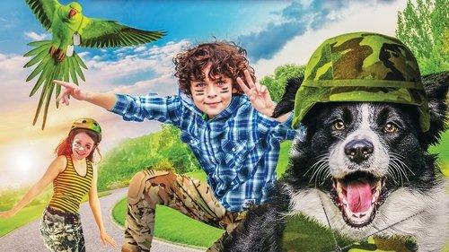 Paws P.I. filmas žiurėti online