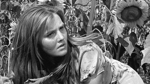 Italiani brava gente filmas žiurėti online