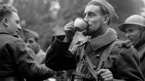 The Phoney War filmas žiurėti online