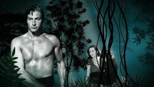 Tarzan Revisited filmas žiurėti online