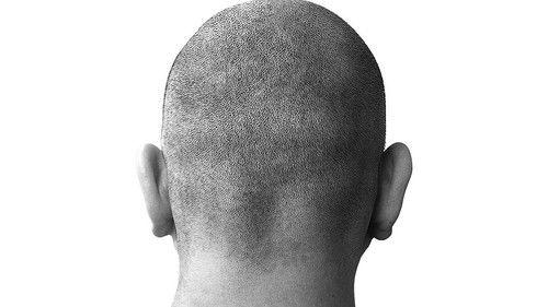 Oi! Warning filmas žiurėti online