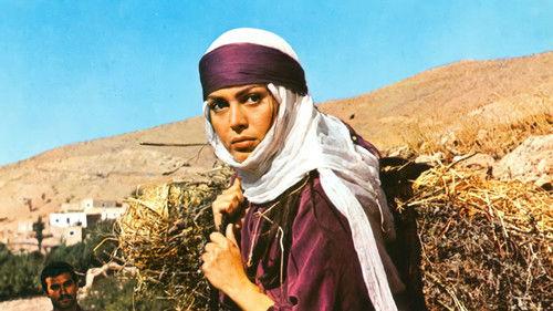 Hazal filmas žiurėti online