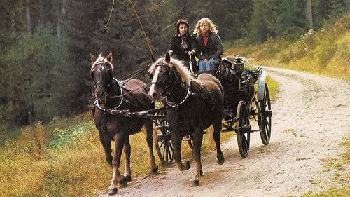 Schwarzwaldfahrt aus Liebeskummer filmas žiurėti online