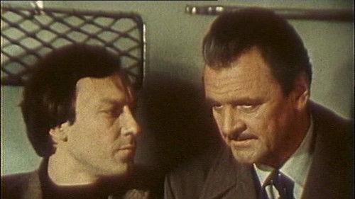 We, the Undersigned filmas žiurėti online