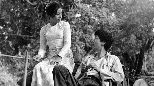 Sacrificed Youth filmas žiurėti online