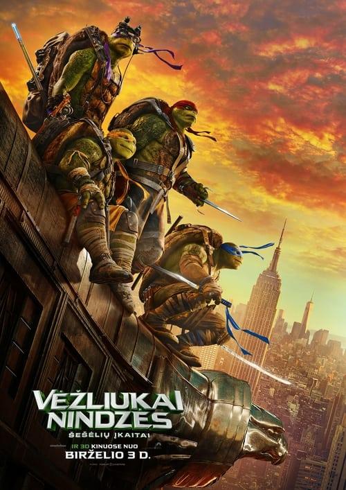 Vėžliukai nindzės: šešėlių įkaitai filmas online