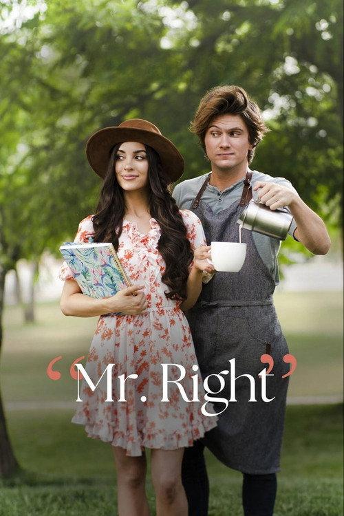 Mr. Right filmas online