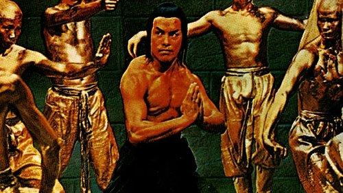The Best of Shaolin Kung Fu filmas žiurėti online