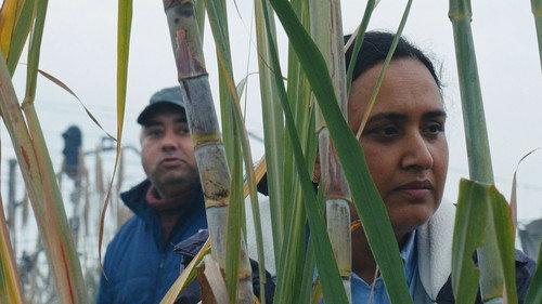 Historias del buen valle filmas žiurėti online