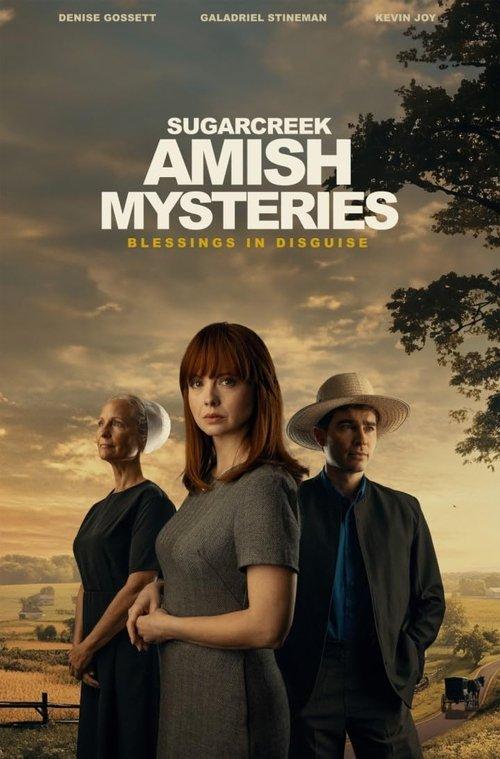 Sugarcreek Amish Mysteries: Blessings in Disguise filmas online