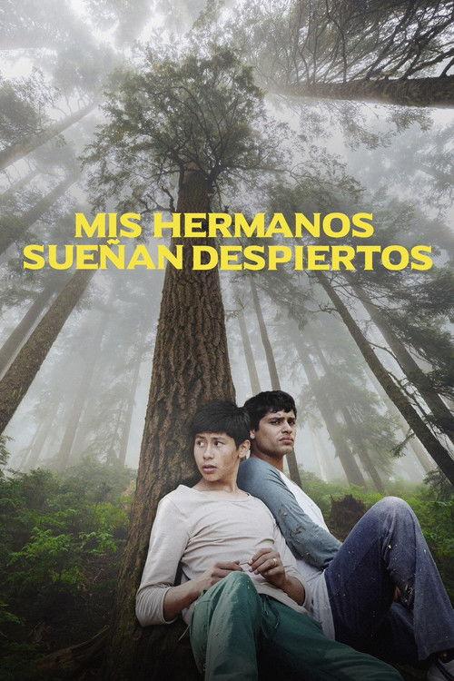 Mis hermanos sueñan despiertos filmas online
