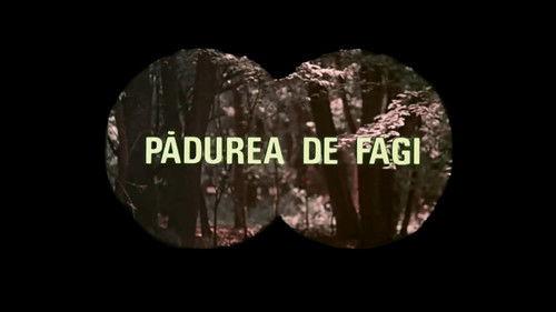 Pădurea de fagi filmas žiurėti online
