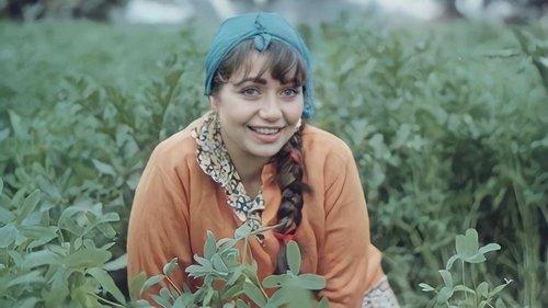 Gone with No Return filmas žiurėti online