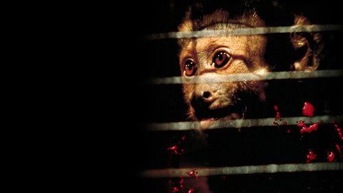 Monkey Shines filmas žiurėti online