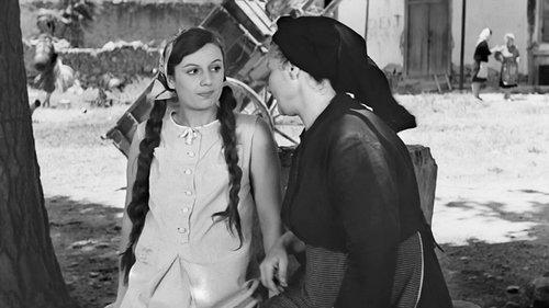 A Matter of Earnestness filmas žiurėti online