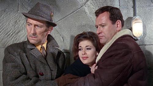 Island of Terror filmas žiurėti online