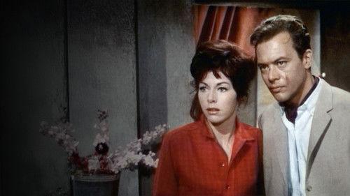 Heisser Hafen Hongkong filmas žiurėti online