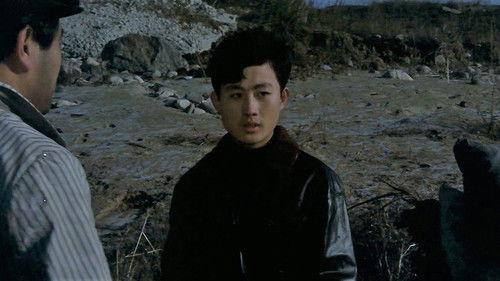 Assassin filmas žiurėti online