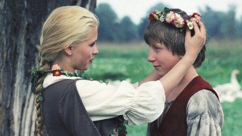 Die Geschichte von der Gänseprinzessin und ihrem treuen Pferd Falada filmas žiurėti online