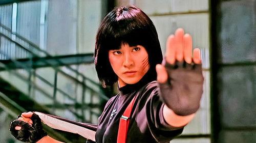 Outlaw Brothers filmas žiurėti online