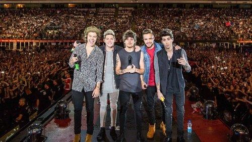 One Direction: Where We Are - The Concert Film filmas žiurėti online