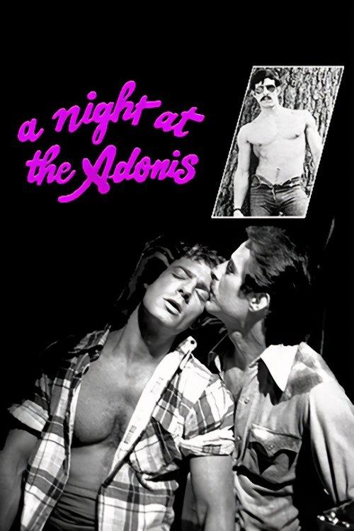 A Night at the Adonis filmas online