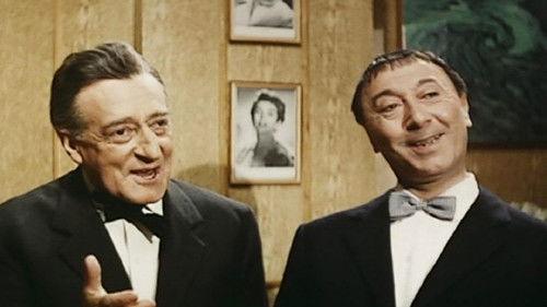 Toto at Night filmas žiurėti online