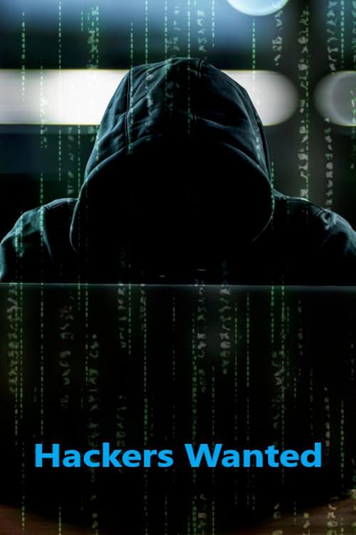 Hackers Wanted filmas online