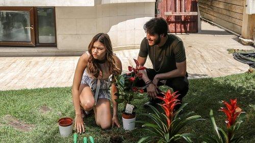 Is This Love? filmas žiurėti online