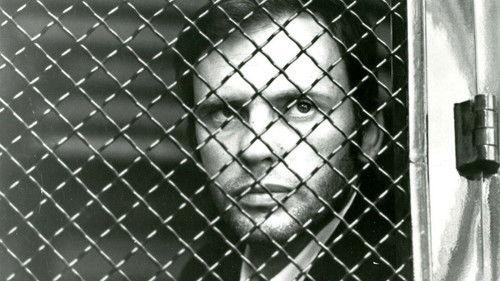 Crime Thief filmas žiurėti online