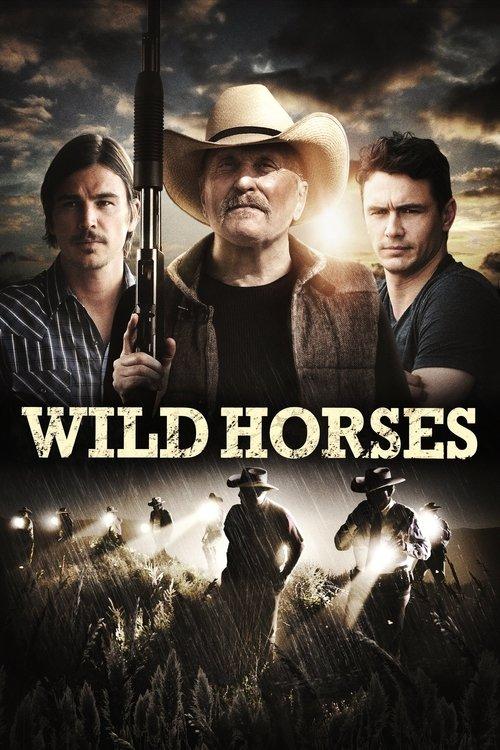 Wild Horses filmas online