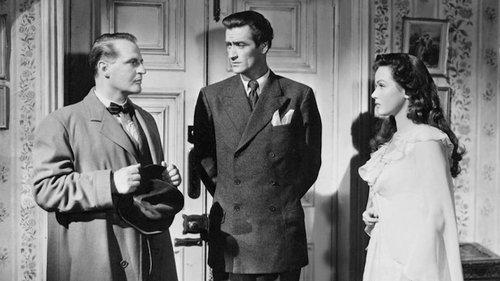 The Spider and the Fly filmas žiurėti online