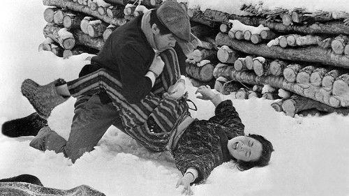 A Story from Echigo filmas žiurėti online