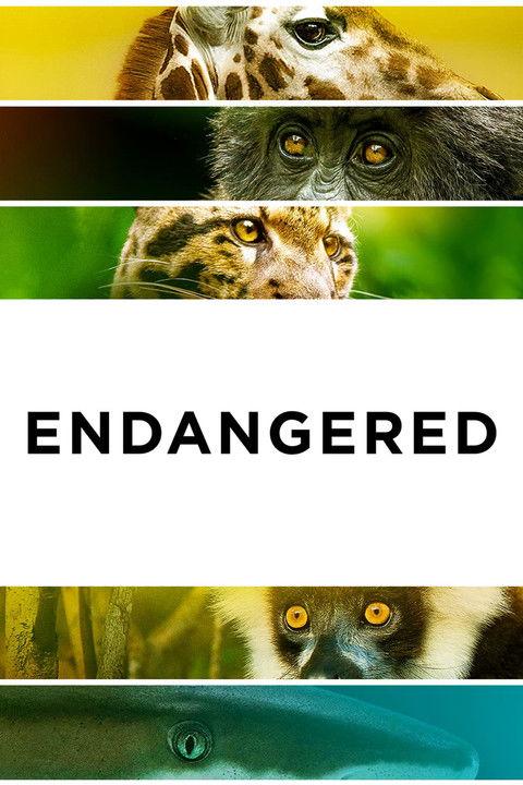 Endangered filmas online