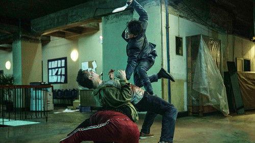 The Furious filmas žiurėti online