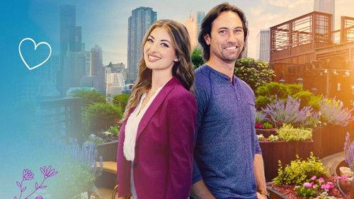 For the Love of Lily filmas žiurėti online