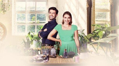 The Beauty of Love filmas žiurėti online