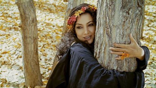 The Wishing Tree filmas žiurėti online