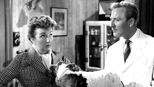 In the Doghouse filmas žiurėti online