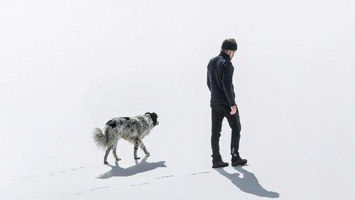 Fiore mio filmas žiurėti online