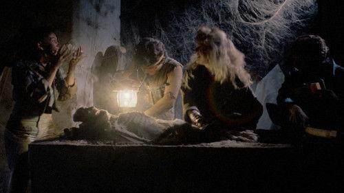 Grave Robbers filmas žiurėti online